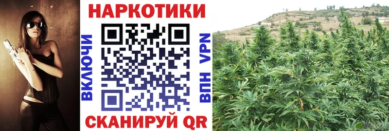 Псилоцибиновые грибы Петровск-Забайкальский